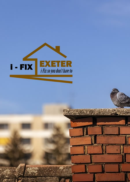 chimney repair exeter